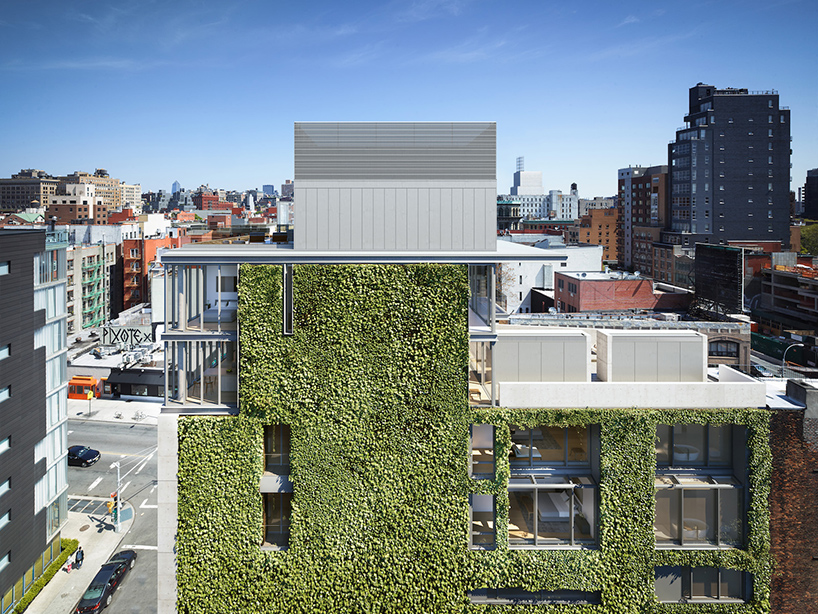 green-walls-new-york-vertical-gardens-roundup-designboom-02