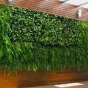 asc_post_parede_verde_01